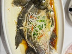 清蒸武昌鱼-刘胖子家常菜·蹄花焖藕(中南店)