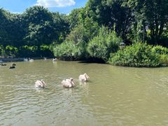 -广州长隆飞鸟乐园