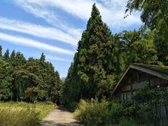 -重庆雨台山风景区