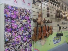 -纯音琴行(天河区车陂分店)