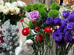 -植物学家的女儿(北马道巷店)