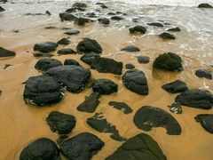 -漳州滨海火山岛自然生态风景区