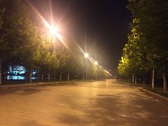 -南开大学滨海学院