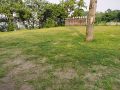 -趣多多宠物公园·宠物训犬学校·宠物寄养