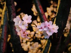 -永乐路-路侧停车场