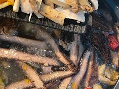 -蘑统田下·野生菌火锅