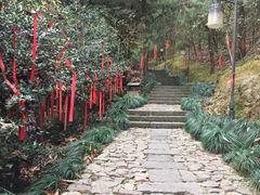 -梦姑塘文化公园