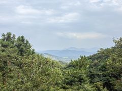 -广州白江湖森林公园