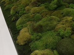 -喜茶(永旺梦乐城店)