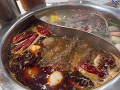 -八合里潮汕鲜牛肉火锅(吉大店)