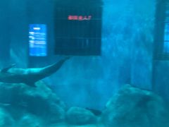 -福州罗源湾海洋世界旅游区