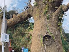 -梅岭月亮湾山体公园