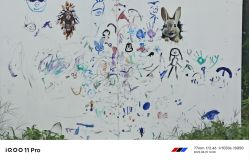 -DORA kids 朵拉儿童摄影花园店