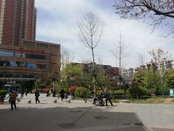 -河南中医药大学第一附属医院-医疗整形