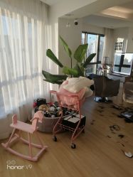 -E.L.K造型momopark店