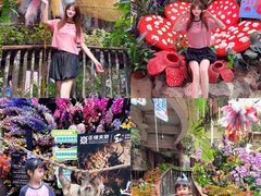-正佳雨林生态植物园