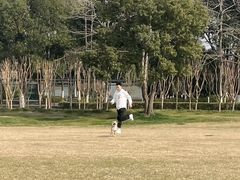 -山明水秀大饭店