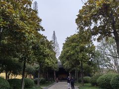 -太平天国侍王府