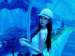 -石家庄极地海洋世界