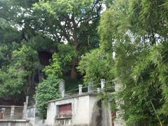 -蒋氏故居