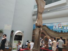 -自贡恐龙博物馆