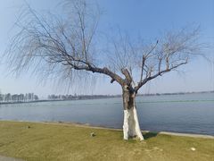 -东湖磨山景区