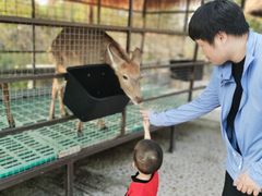 -珠海海泉湾神秘岛亲子乐园