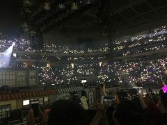 -南京奥林匹克体育中心-体育馆