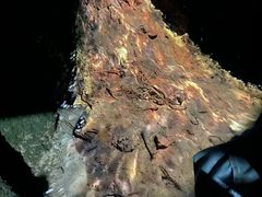 -湖南省地质博物馆