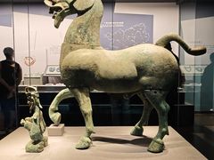 -广西壮族自治区博物馆