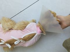 -达爱动物医院·犬猫分区·CT·复杂眼科(远洋山水分院)