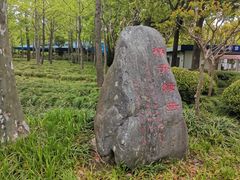 -黄兴公园