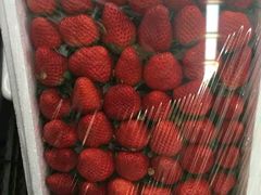 -老院子饭店·鲁菜·海鲜·家常菜