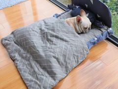 -糖涩(新佳丽店)