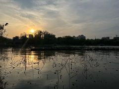 -济南大明湖景区