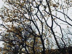 -宁波市保国寺古建筑博物馆