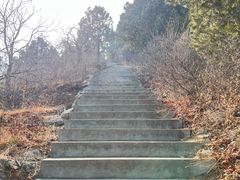 -北京西山国家森林公园