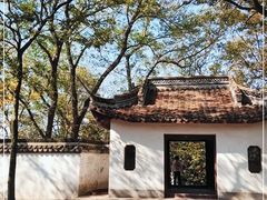 -上海佘山国家森林公园天马山园