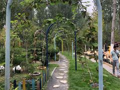 -合肥滨湖国家森林公园