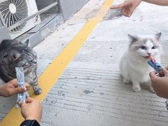 -泉州海丝野生动物世界