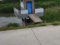 -南京小时候桑葚采摘园