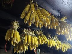 -苗族饮食文化传习所