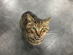 -随柳居·苏式小吃(建新巷店)