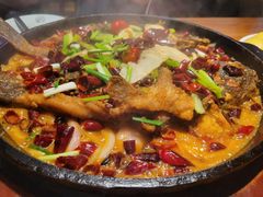 -老板恋上鱼(高新万达店)