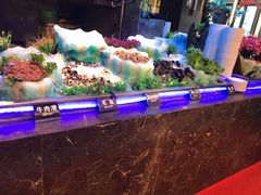 -千百叶海鲜自助餐厅(万达广场店)