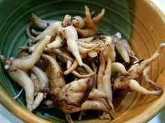 -南渝食府.墨脱石锅松茸鸡