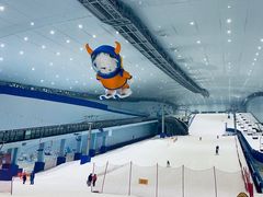 -哈尔滨热雪奇迹