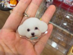 -和它·交个朋友·狗咖猫咖(爱琴海店)