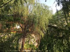 -西安市长乐公园