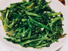 空心菜叶-壹盏灯(惠农店)